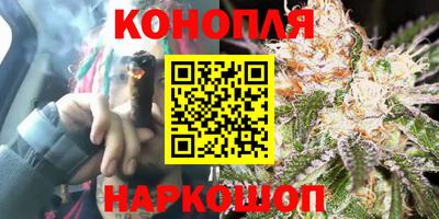 прущие крисы Ирбит