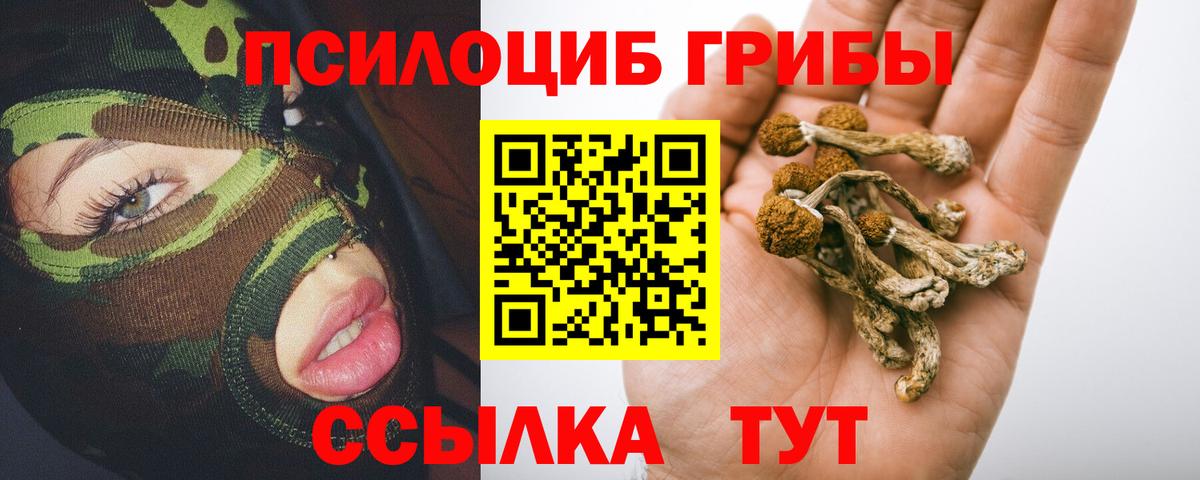 Галлюциногенные грибы Psilocybe  Вход с VPN  Сочи 